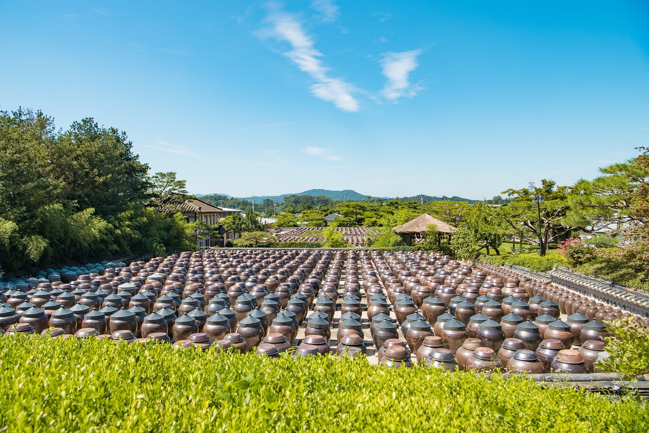 中国农业大学