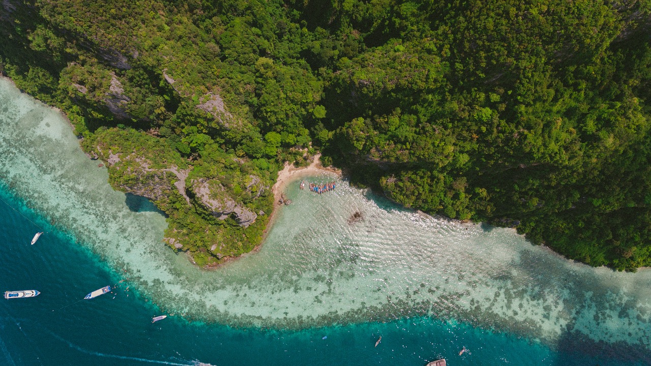 峭岐海棠湾最新价格揭秘，深度解析与独家资讯
