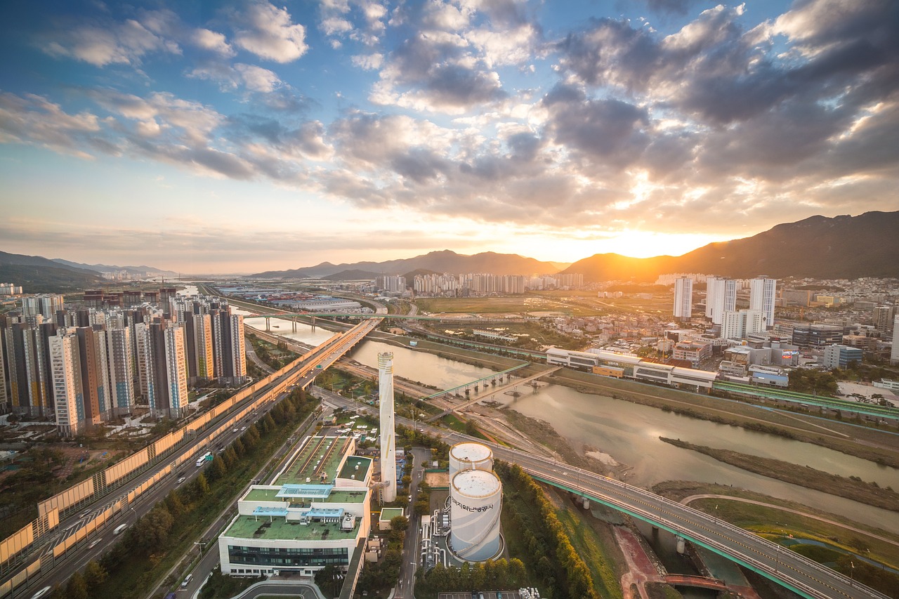 禹城市西红柿最新报价与市场分析概览